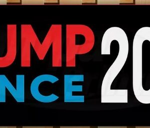 TRUMP VANCE 2024 MAGA FJB Banner Flag Sign Vinyl32