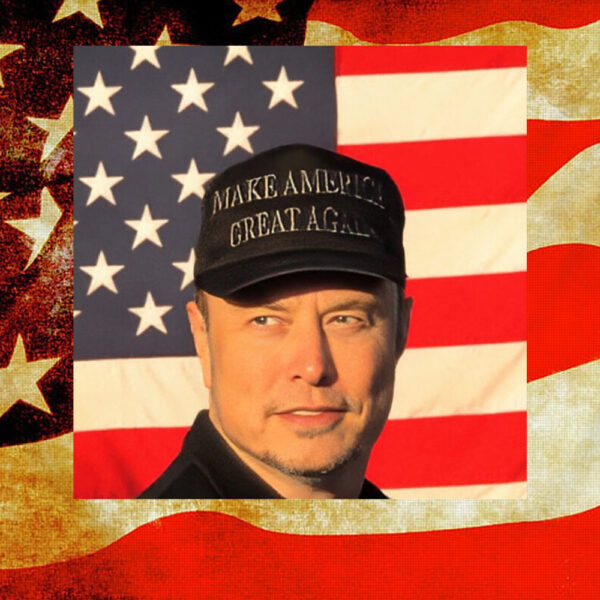 Elon Musk Dark MAGA Hat - Trump Victory