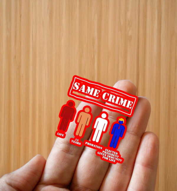 Trump Same Crime Elected President Given Immunity For Life Sticker ,Car Magnet